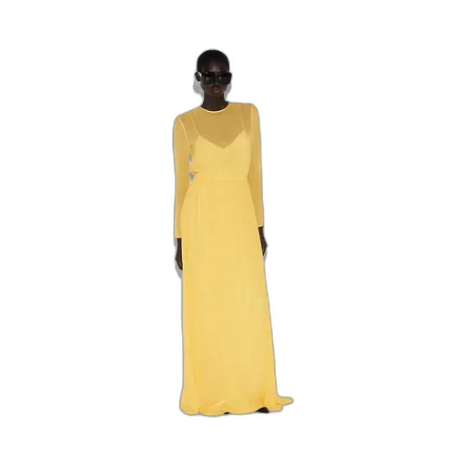 Long Silk Georgette Dress
