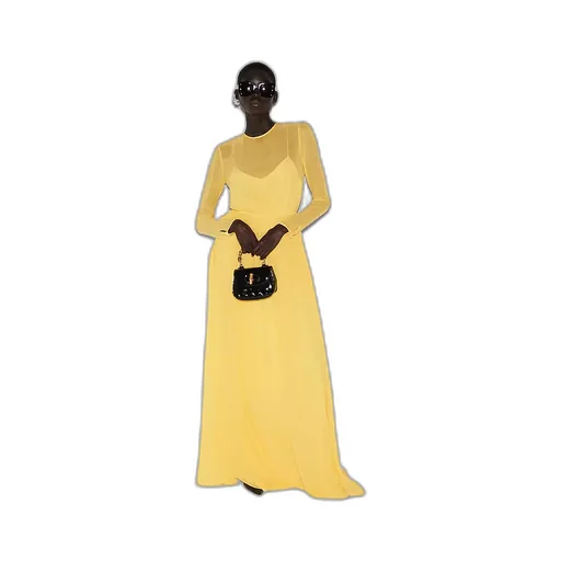 Long Silk Georgette Dress