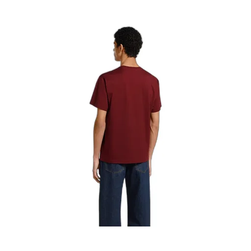 Cotton Jersey T-Shirt With Print