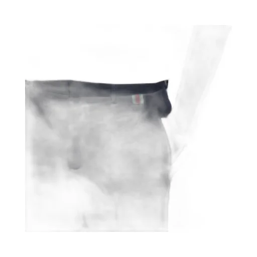 Double Cotton Twill Pant With Web