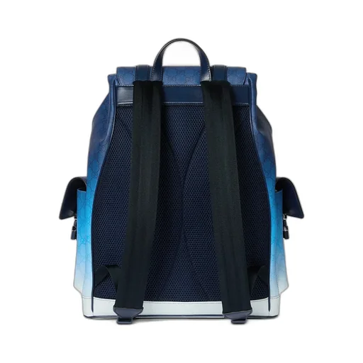 Gucci Chroma Large Backpack