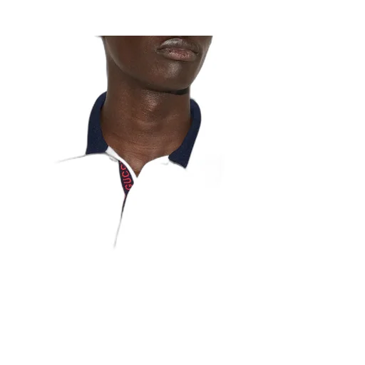 Knit Cotton Polo Shirt With Intarsia
