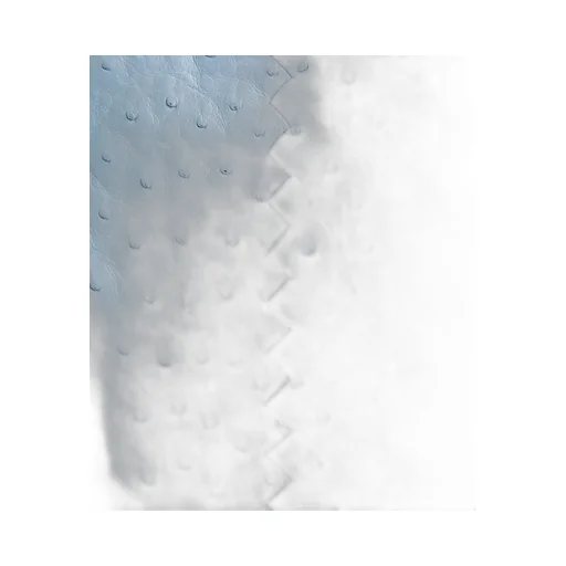 Dustbag