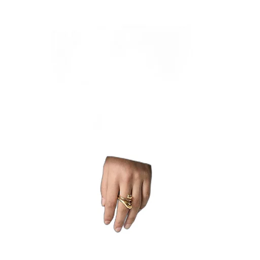 Drop Ring