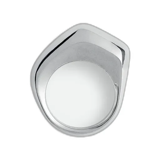 Small Fin Ring