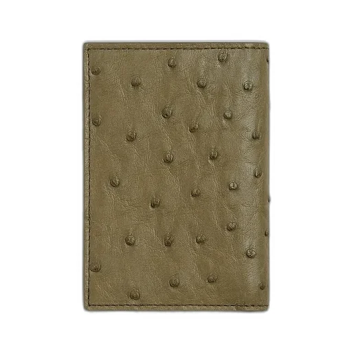 Ostrich Flap Card Case
