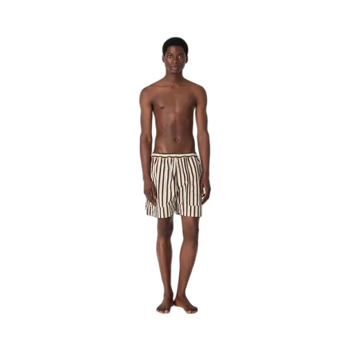 Stripe Nylon Swim Shorts