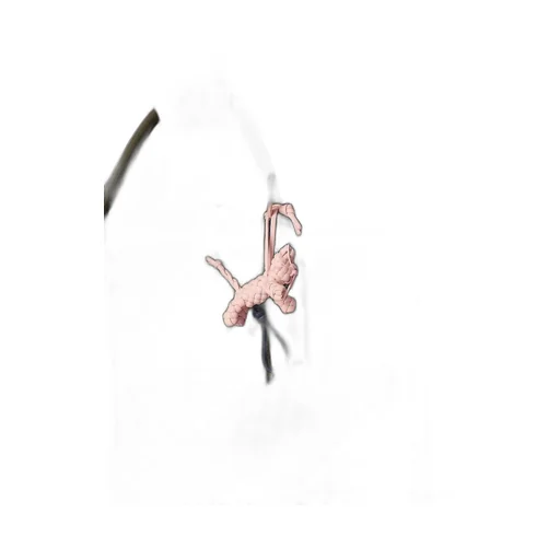 Cat Charm