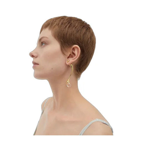 Drop Earrings