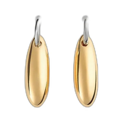 Ellipse Small Earrings