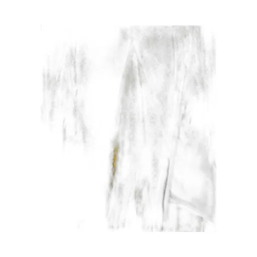 Viscose Degrade Petal Print Skirt