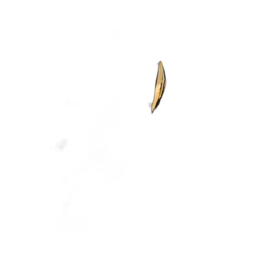 Fin Bracelet