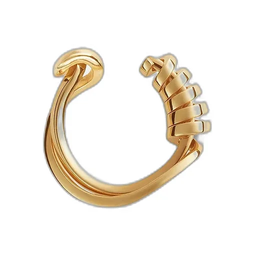 Twist Ring