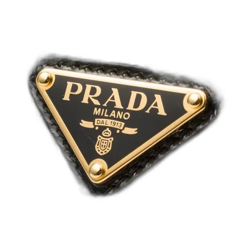 Prada Re-Edition 2002 Medium Leather Shoulder Bag