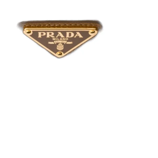 Prada Re-Edition 2005 Saffiano Leather Bag