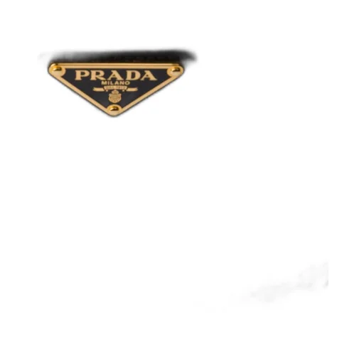 Prada Re-Edition 2005 Saffiano Leather Bag