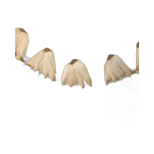 Nappa Leather And Raffia Ballerinas