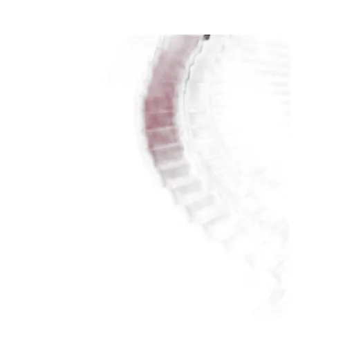 Fan With Leather Strap