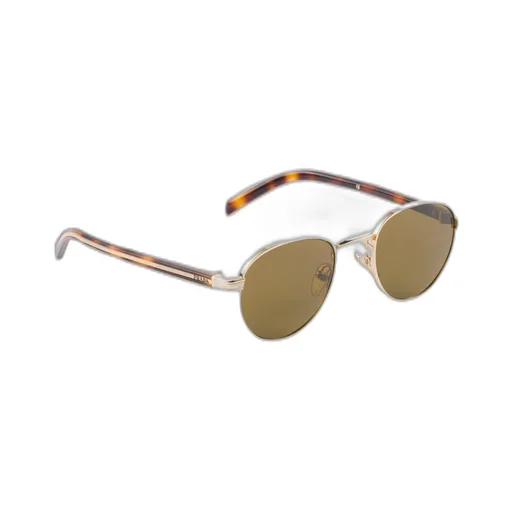 Sunglasses With The Iconic Metal Plaque