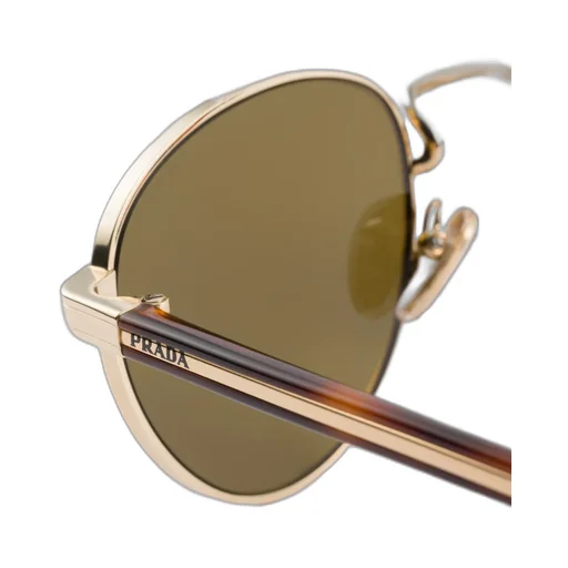 Sunglasses With The Iconic Metal Plaque