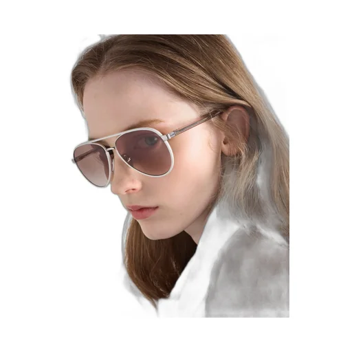 Prada Sunglasses With The Iconic Metal Plaque