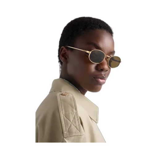 Sunglasses With The Iconic Metal Plaque