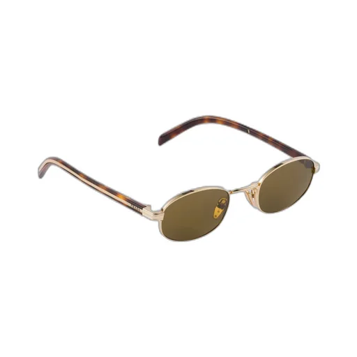 Sunglasses With The Iconic Metal Plaque