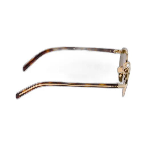 Sunglasses With The Iconic Metal Plaque