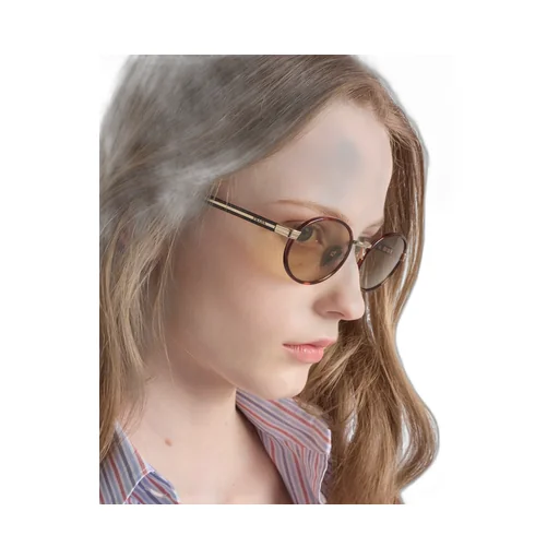 Prada Sunglasses With The Iconic Metal Plaque