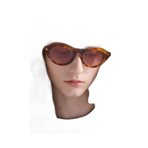 Prada Sunglasses With The Iconic Metal Plaque