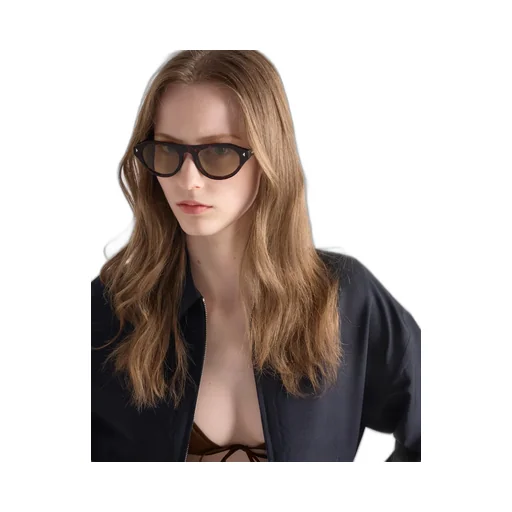 Prada Sunglasses With The Iconic Metal Plaque