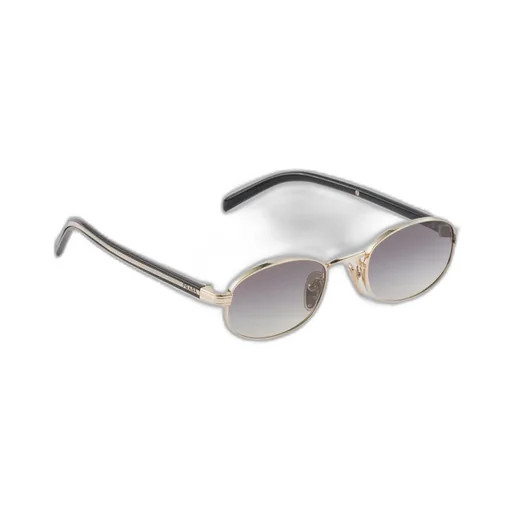 Sunglasses With The Iconic Metal Plaque