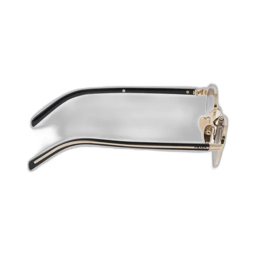 Sunglasses With The Iconic Metal Plaque