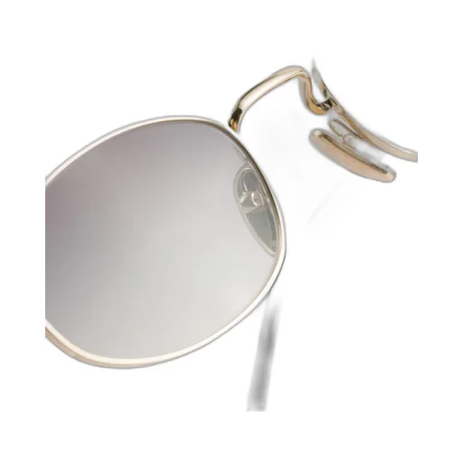 Sunglasses With The Iconic Metal Plaque