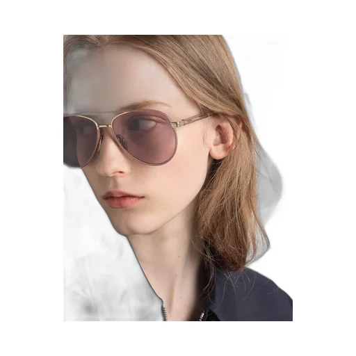 Prada Sunglasses With The Iconic Metal Plaque