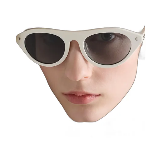 Prada Sunglasses With The Iconic Metal Plaque