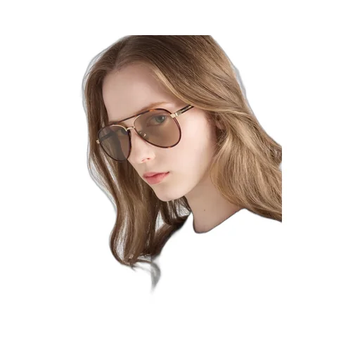 Prada Sunglasses With The Iconic Metal Plaque