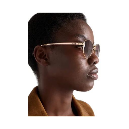 Sunglasses With The Iconic Metal Plaque