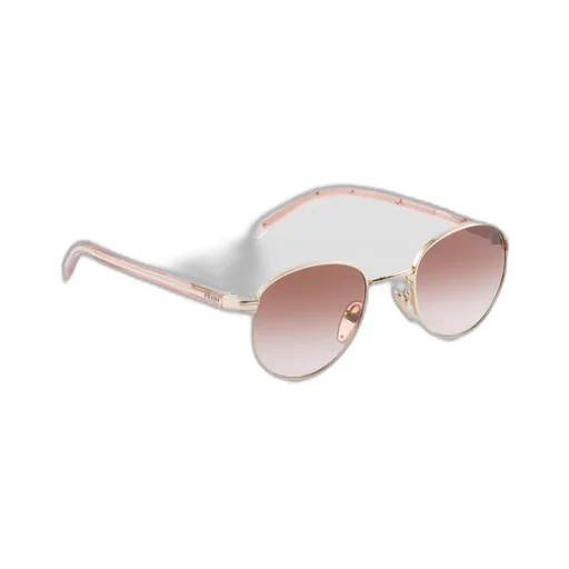 Sunglasses With The Iconic Metal Plaque