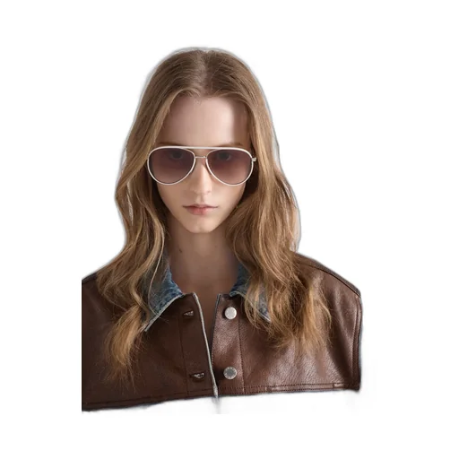 Prada Sunglasses With The Iconic Metal Plaque