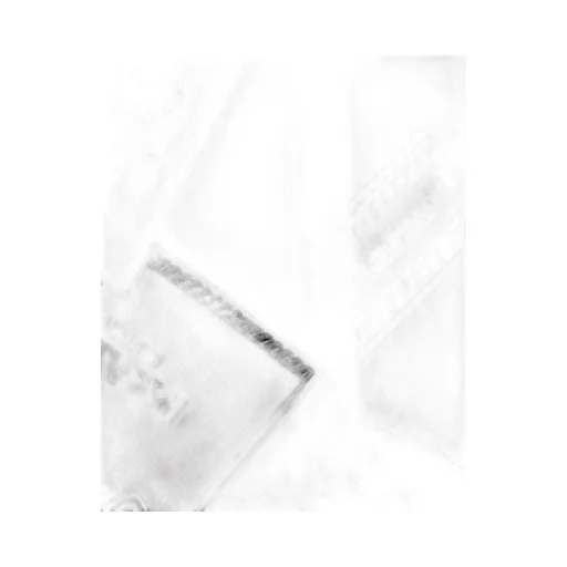 Printed Silk Twill Skinny Scarf