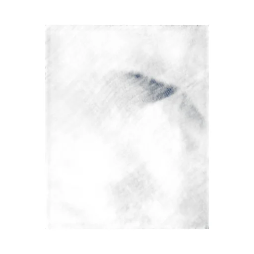 Wool, Silk, Cashmere And Lurex Jacquard Shawl