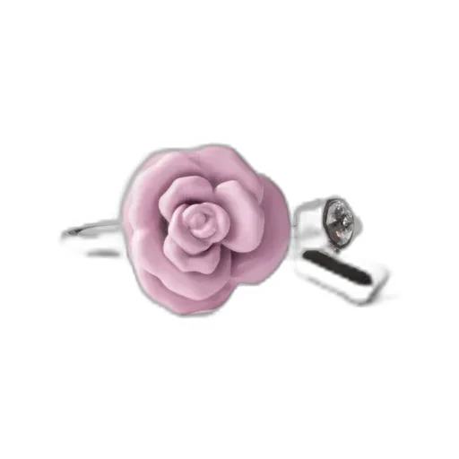Enamelled Metal Ring