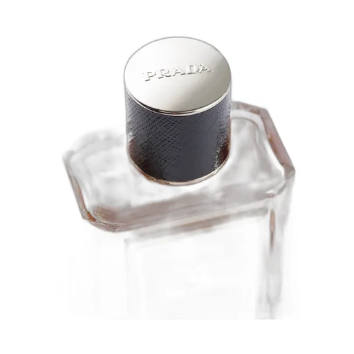 Olfactories - Day For Night Edp 100 Ml