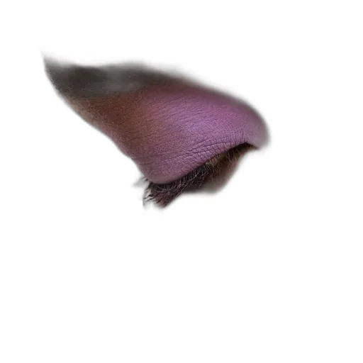 Prada Dimensions Eyeshadow