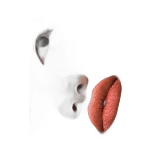 Prada Monochrome Hyper Matte Lipstick