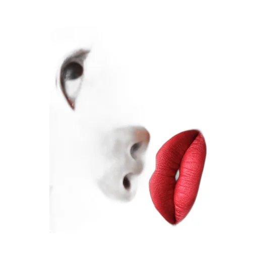 Prada Monochrome Hyper Matte Lipstick