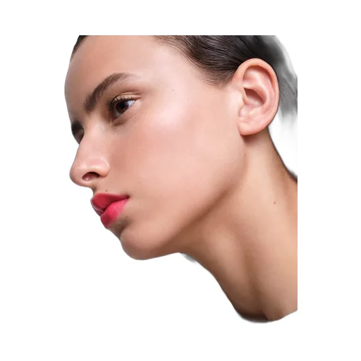 Prada Monochrome Soft Matte Lipstick