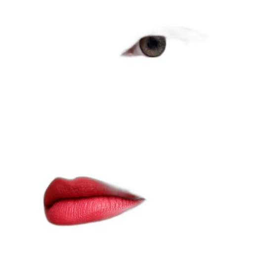 Prada Monochrome Soft Matte Lipstick