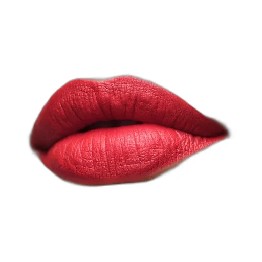 Prada Monochrome Hyper Matte Lipstick